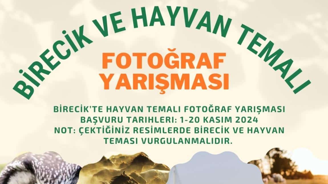 FOTOĞRAF YARIŞMASI